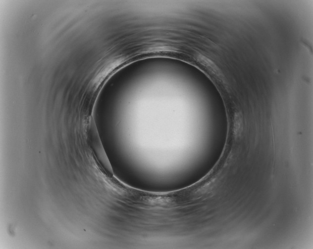 X0000103291321200808291325