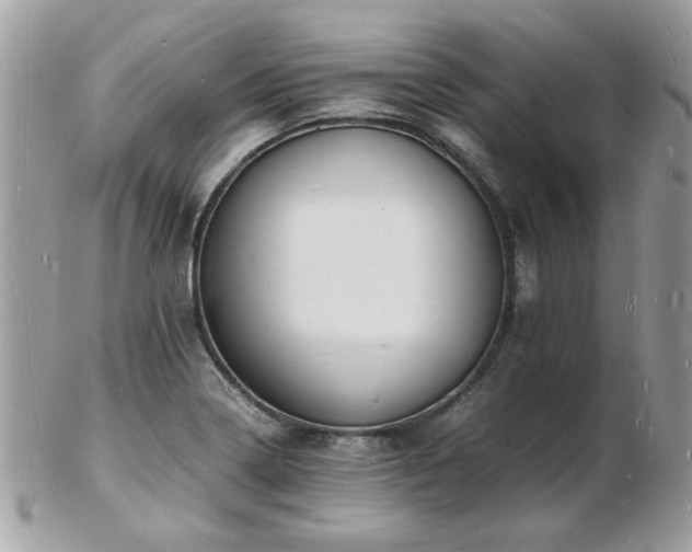 X0000103291322200808291325