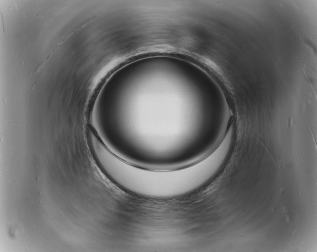 X0000103291326200808291325