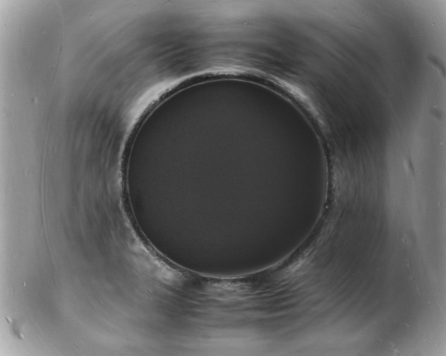 X0000103291327200808291325