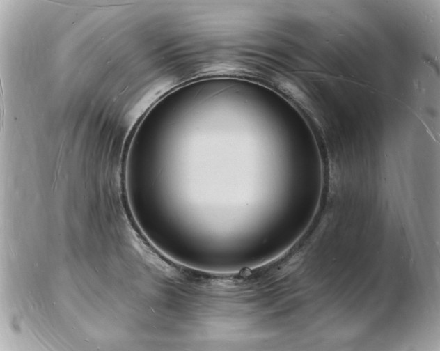 X0000103291330200808291325