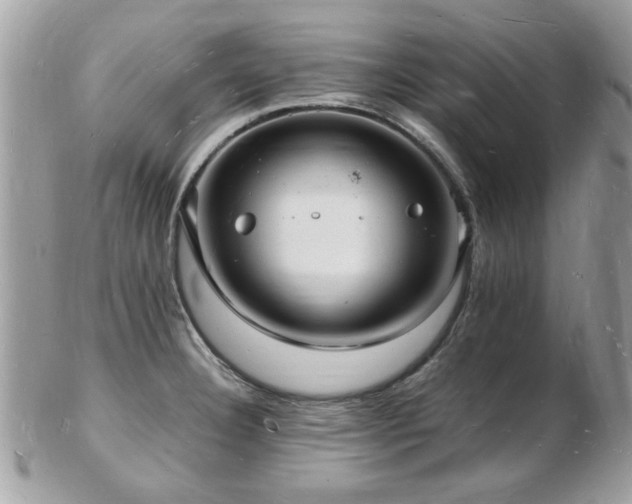X0000103291332200808291325