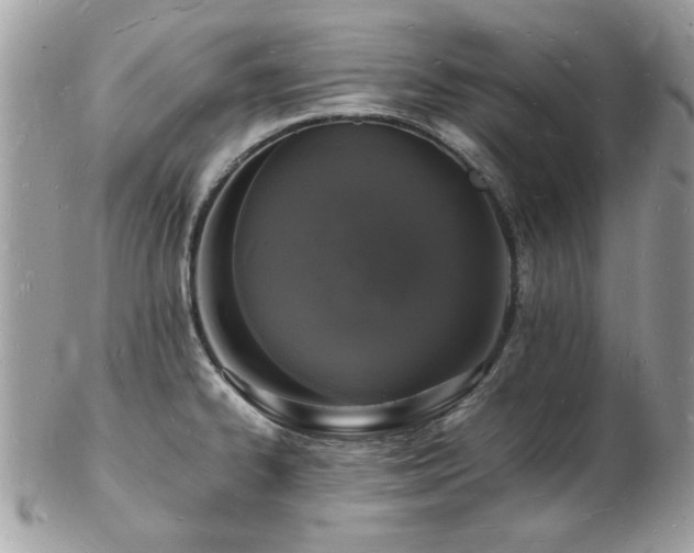 X0000103291334200808291325