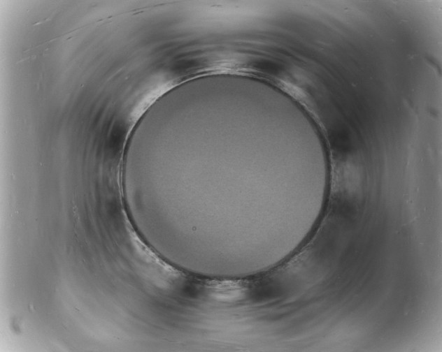 X0000103291338200808291325
