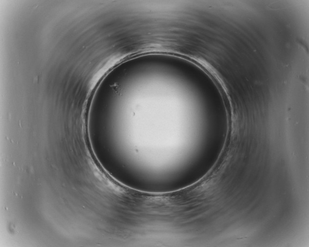 X0000103291341200808291325