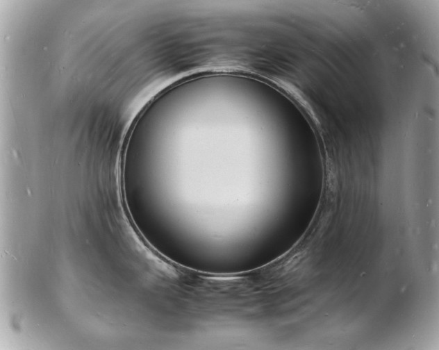 X0000103291343200808291325