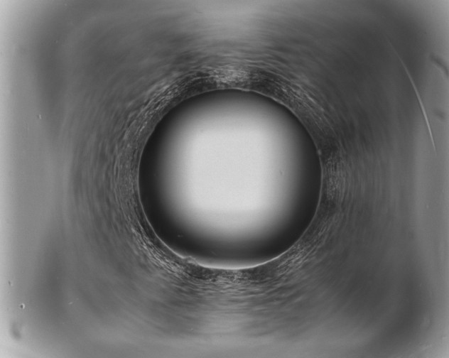 X0000103291345200808291324