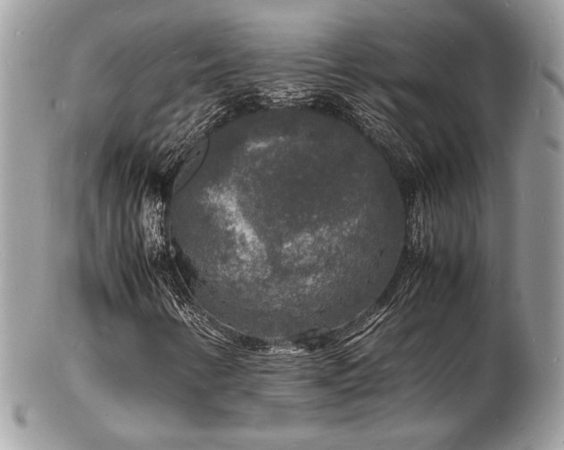 X0000103291346200808291324