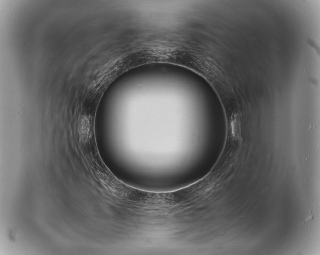 X0000103291347200808291324