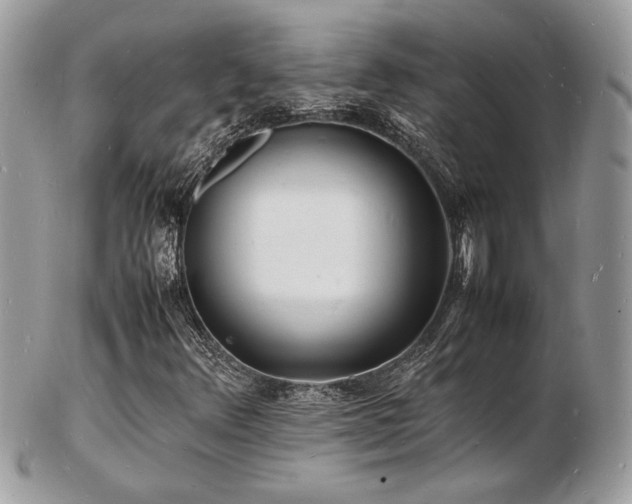 X0000103291348200808291324