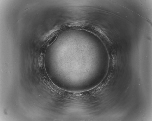 X0000103291350200808291324