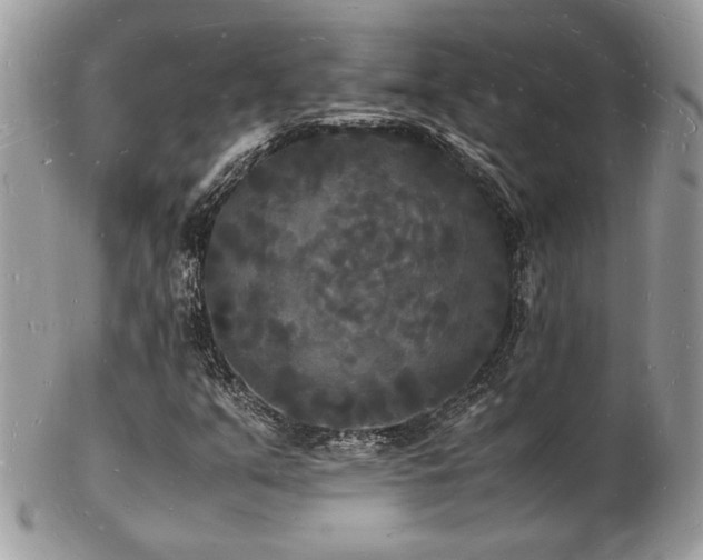X0000103291351200808291324