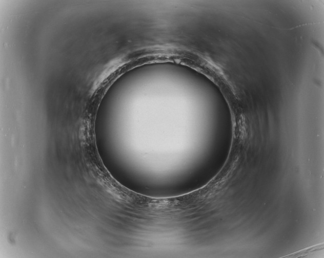 X0000103291352200808291324