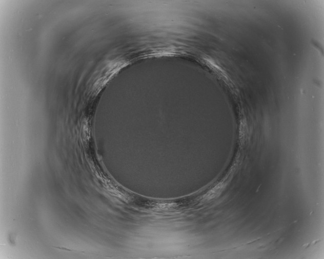 X0000103291353200808291324