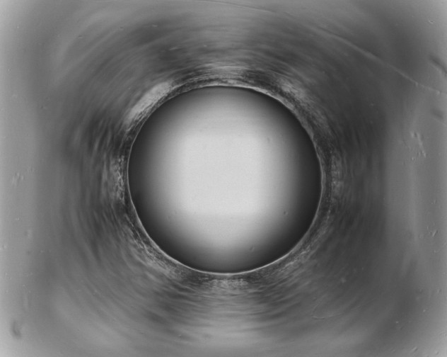 X0000103291354200808291324