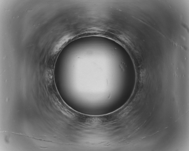 X0000103291355200808291324
