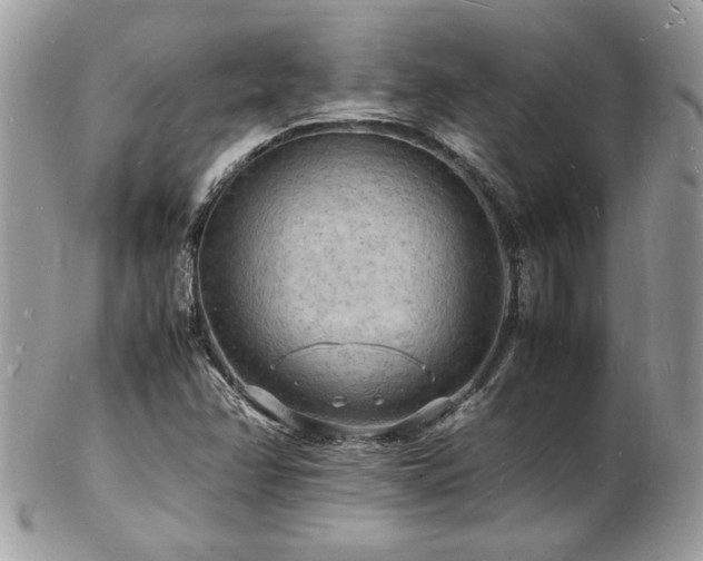 X0000103291358200808291324