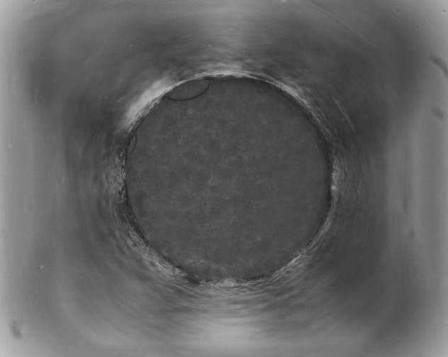 X0000103291359200808291324