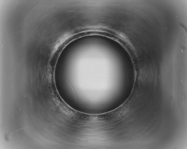 X0000103291360200808291324