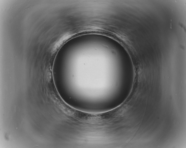X0000103291363200808291324