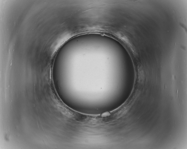 X0000103291365200808291324