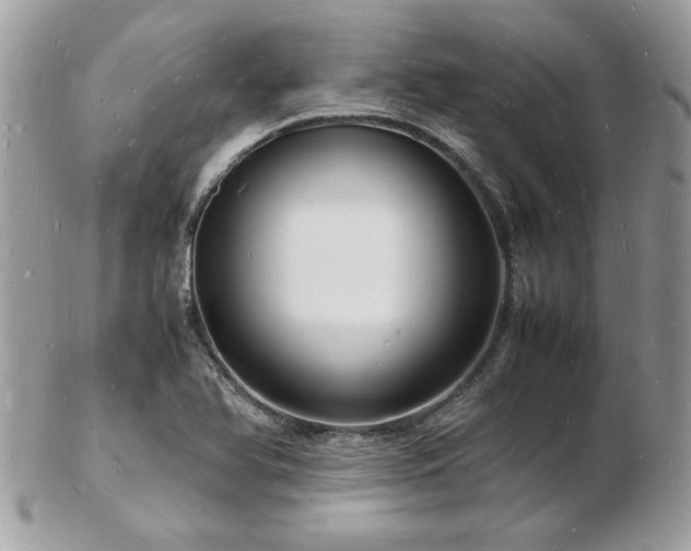 X0000103291366200808291324