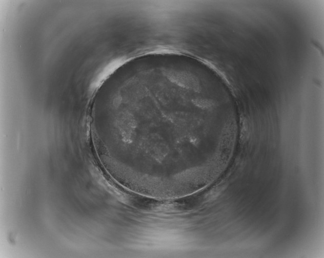 X0000103291367200808291324