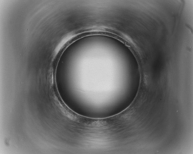 X0000103291368200808291324