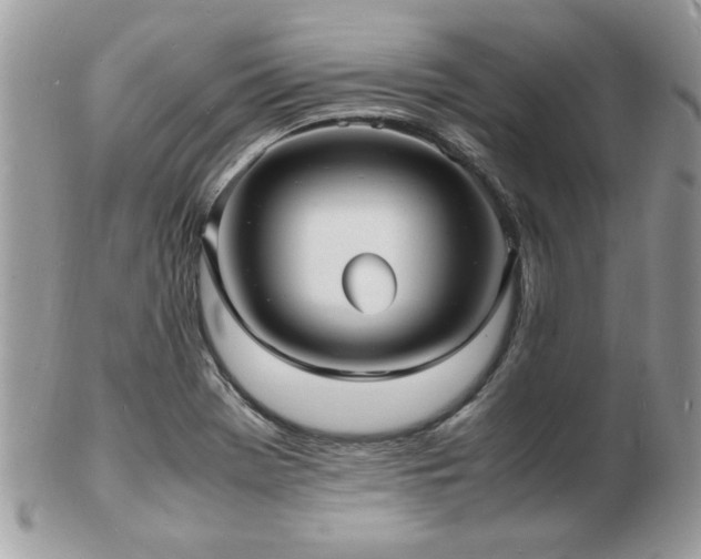 X0000103291369200808291324