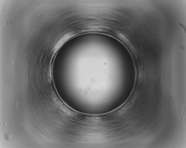 X0000103291370200808291324
