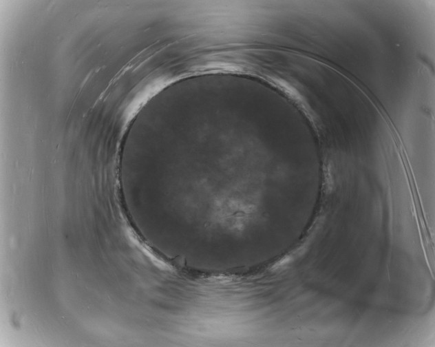 X0000103291373200808291324