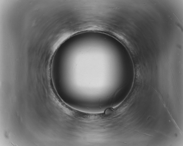 X0000103291375200808291324