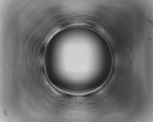 X0000103291377200808291324