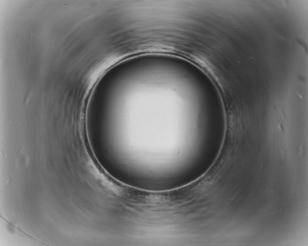 X0000103291379200808291324