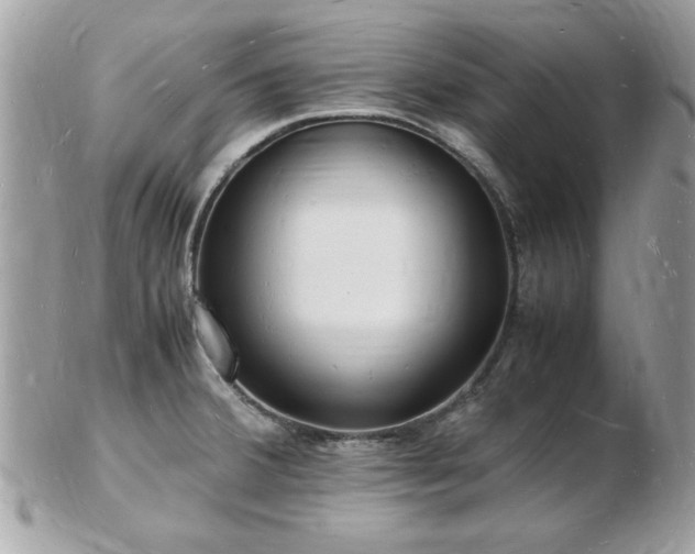 X0000103291380200808291324