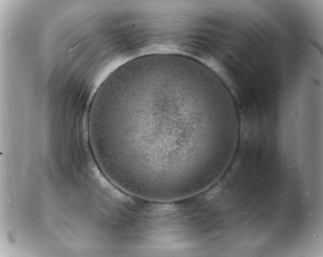 X0000103291382200808291324