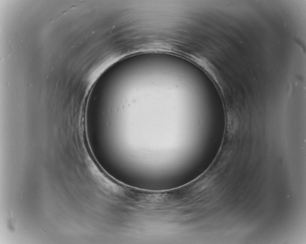 X0000103291387200808291324