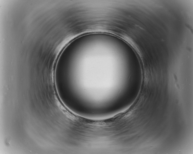 X0000103291388200808291324