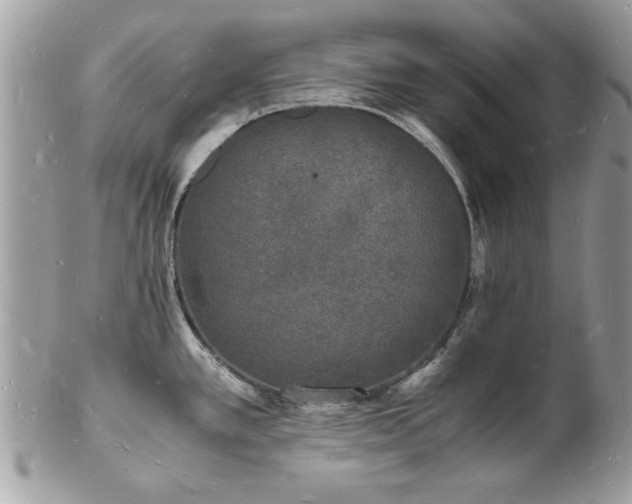 X0000103291389200808291324