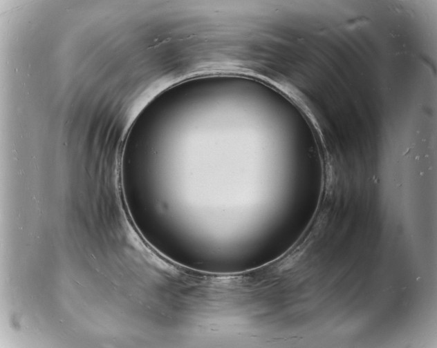 X0000103291390200808291324