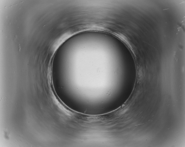 X0000103291391200808291323