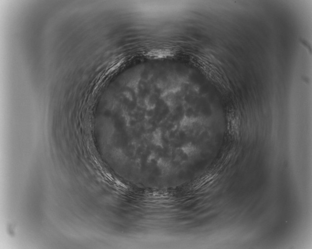X0000103291393200808291323