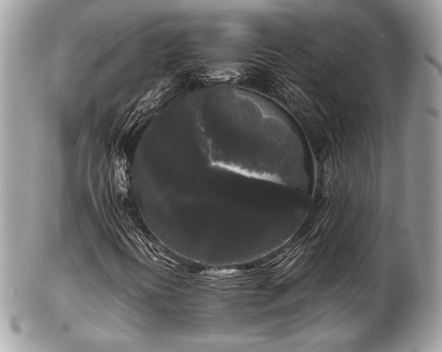X0000103291394200808291323