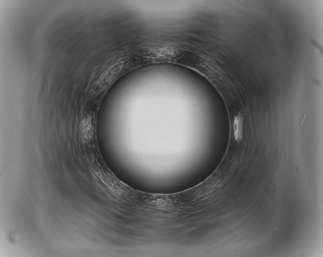 X0000103291395200808291323
