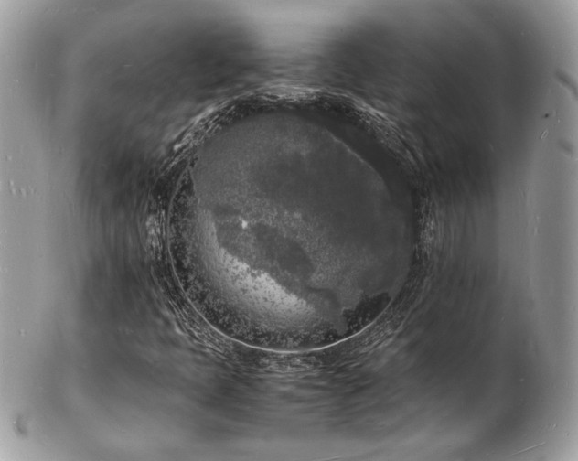 X0000103291397200808291323