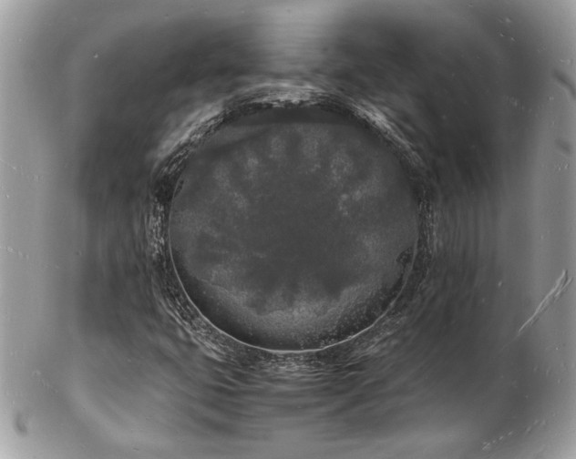 X0000103291399200808291323