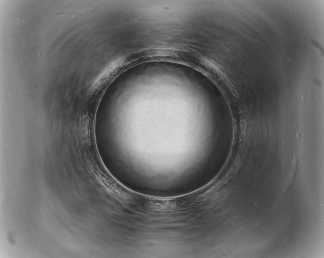 X0000103291403200808291323