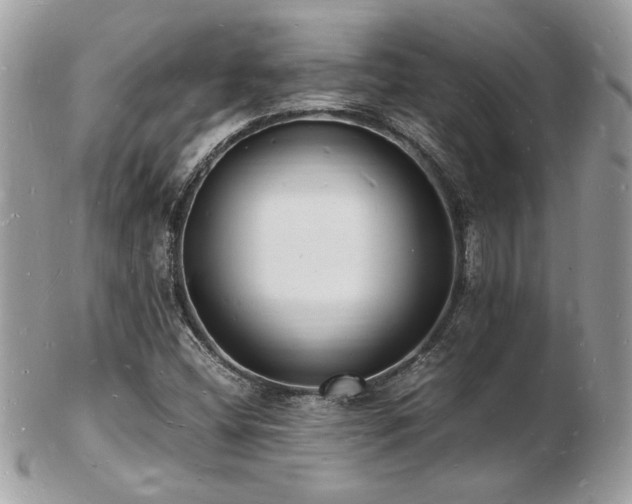 X0000103291404200808291323