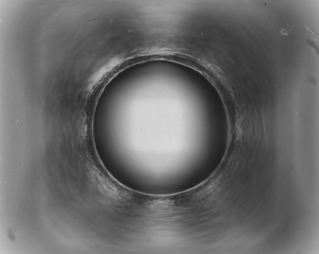 X0000103291406200808291323
