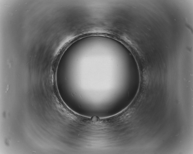 X0000103291408200808291323